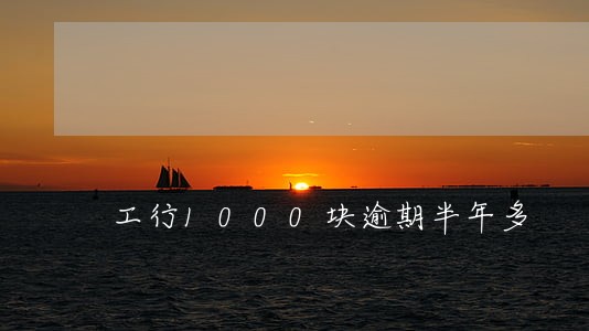 工行1000块逾期半年多 工行1000块逾期半年多