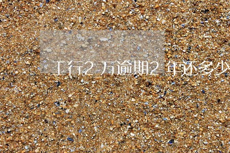 工行2万逾期2年还多少