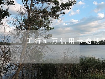 工行5万信用卡逾期利息怎么