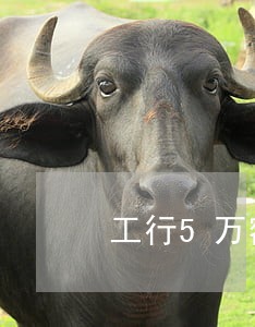 工行5万额度信用卡逾期 工行5万额度信用卡逾期