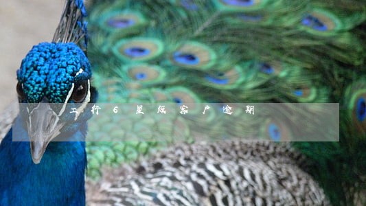 工行6星级客户逾期 工行6星级客户逾期