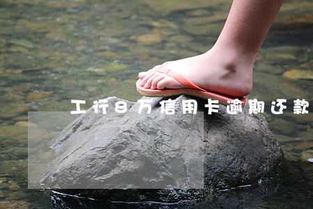工行8万信用卡逾期还款