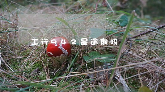 工行942是逾期吗