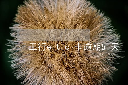 工行etc卡逾期5天 工行etc卡逾期5天
