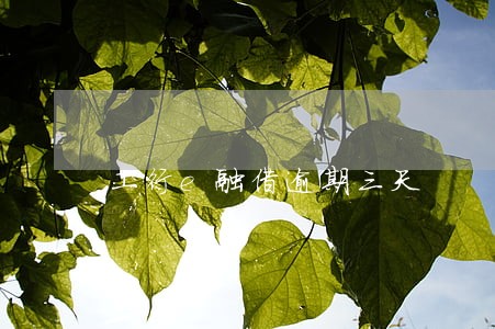 工行e融借逾期三天 工行e融借逾期三天