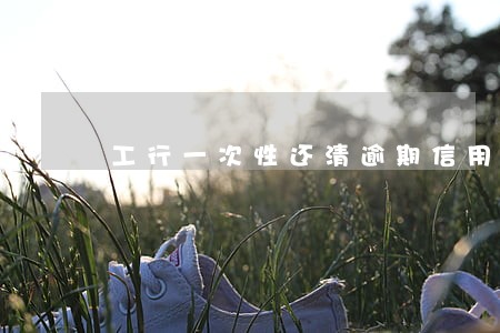 工行一次性还清逾期信用卡 工行一次性还清逾期信用卡