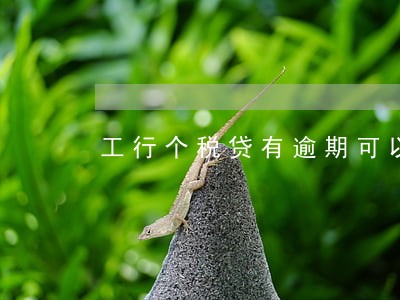 工行个税贷有逾期可以贷款吗 工行个税贷有逾期可以贷款吗