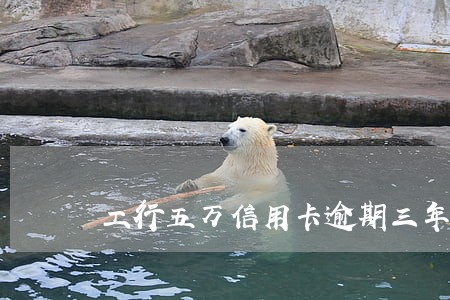 工行五万信用卡逾期三年 工行五万信用卡逾期三年