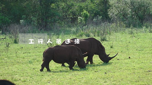 工行人员违法