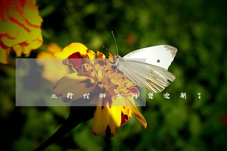 工行代扣卡网贷逾期了 工行代扣卡网贷逾期了