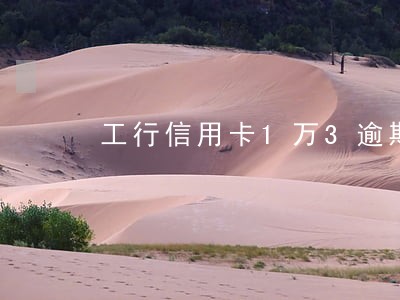 工行信用卡1万3逾期 工行信用卡1万3逾期