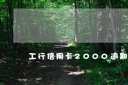 工行信用卡2000逾期1年 工行信用卡2000逾期1年