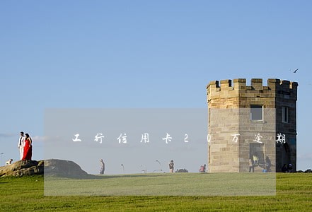 工行信用卡20万逾期