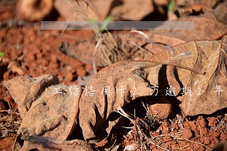 工行信用卡2万逾期2年 工行信用卡2万逾期2年
