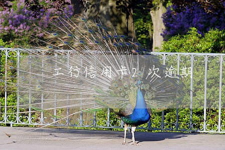 工行信用卡2次逾期 工行信用卡2次逾期