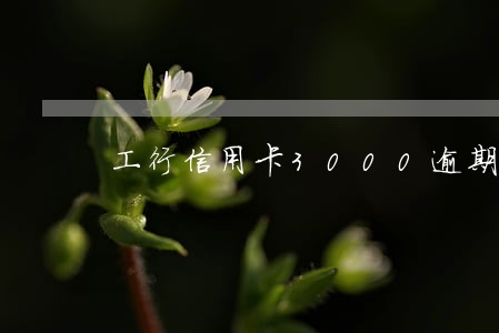 工行信用卡3000逾期8个月 工行信用卡3000逾期8个月