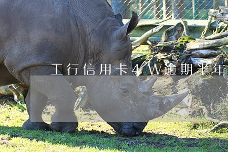 工行信用卡4W逾期半年 工行信用卡4W逾期半年