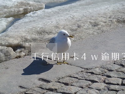工行信用卡4w逾期3个月 工行信用卡4w逾期3个月