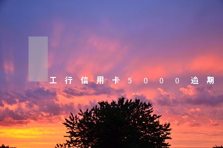 工行信用卡5000逾期1年 工行信用卡5000逾期1年
