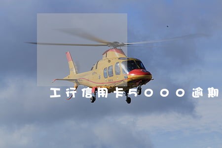 工行信用卡5000逾期一年半