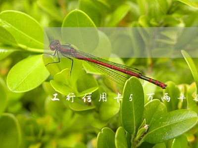 工行信用卡5万两年逾期