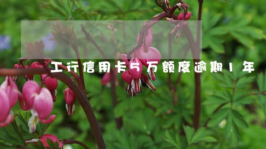 工行信用卡5万额度逾期1年 工行信用卡5万额度逾期1年