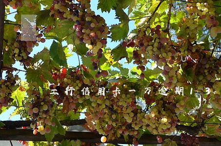 工行信用卡一万逾期130天