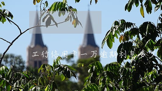 工行信用卡一万逾期利息多少 工行信用卡一万逾期利息多少