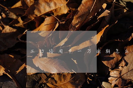 工行信用卡一万逾期怎么办
