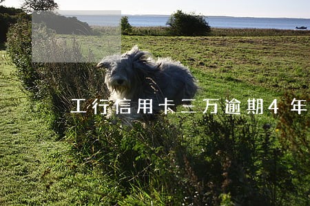 工行信用卡三万逾期4年 工行信用卡三万逾期4年