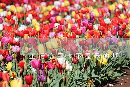 工行信用卡不显示逾期 工行信用卡不显示逾期