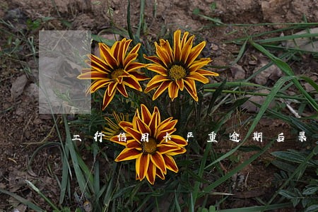 工行信用卡严重逾期后果