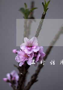 工行信用卡几点还算逾期 工行信用卡几点还算逾期