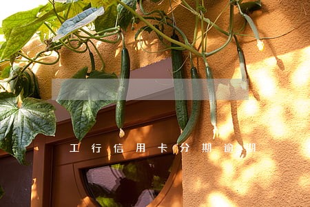 工行信用卡分期逾期 工行信用卡分期逾期
