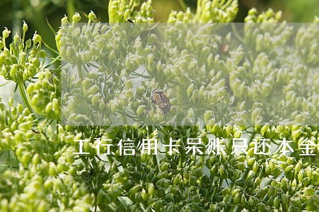 工行信用卡呆账只还本金 工行信用卡呆账只还本金