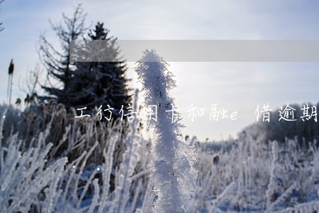 工行信用卡和融e借逾期了
