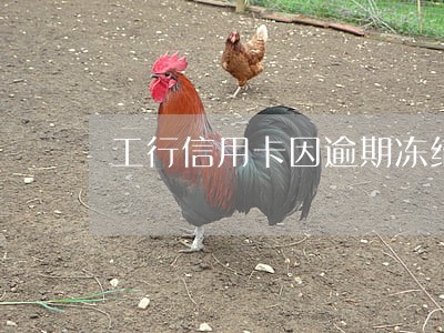 工行信用卡因逾期冻结