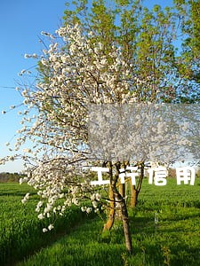 工行信用卡因逾期被降为0 工行信用卡因逾期被降为0