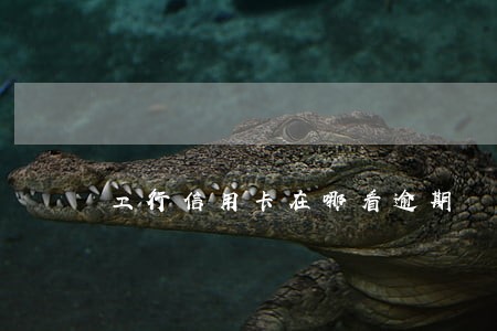 工行信用卡在哪看逾期 工行信用卡在哪看逾期