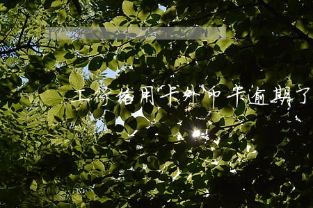 工行信用卡外币卡逾期了 工行信用卡外币卡逾期了