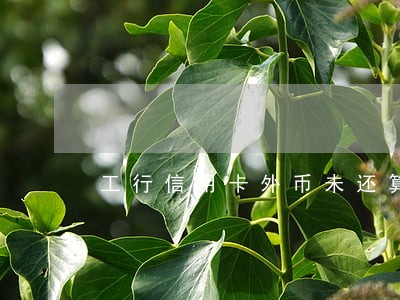 工行信用卡外币未还算逾期么 工行信用卡外币未还算逾期么