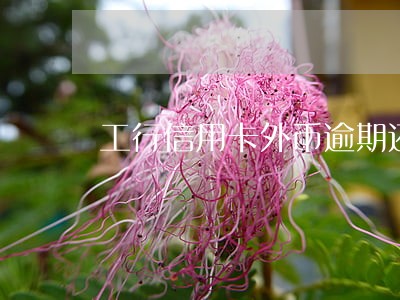 工行信用卡外币逾期还款利息