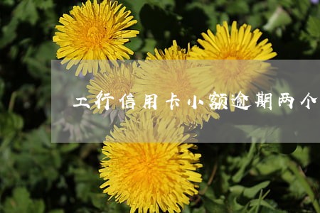 工行信用卡小额逾期两个月 工行信用卡小额逾期两个月