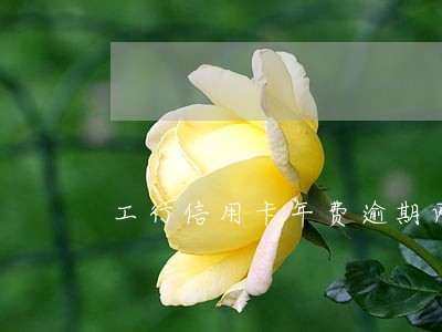 工行信用卡年费逾期两月 工行信用卡年费逾期两月