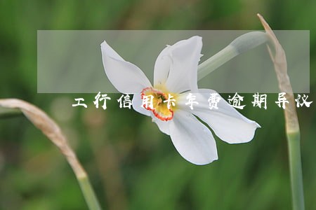 工行信用卡年费逾期异议回复函 工行信用卡年费逾期异议回复函