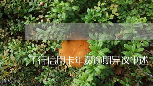 工行信用卡年费逾期异议申述 工行信用卡年费逾期异议申述