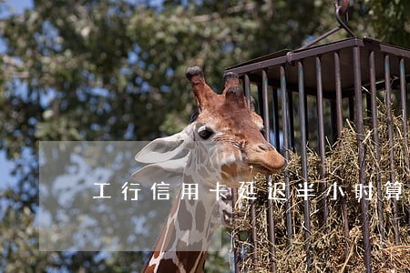 工行信用卡延迟半小时算逾期吗 工行信用卡延迟半小时算逾期吗