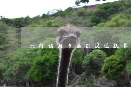 工行信用卡当日没还款算逾期吗 工行信用卡当日没还款算逾期吗
