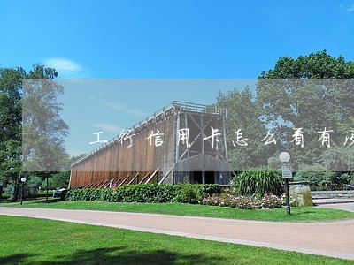 工行信用卡怎么看有没有逾期