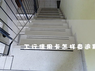 工行信用卡怎样查逾期 工行信用卡怎样查逾期